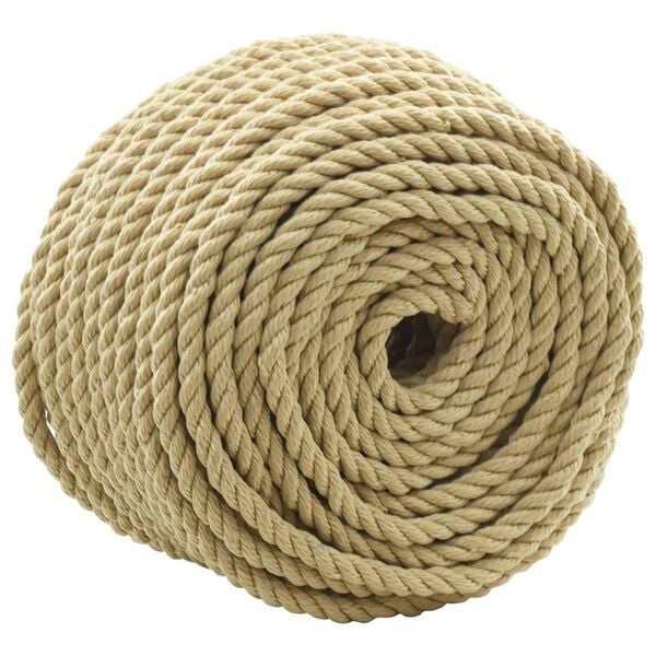 vidaXL Boottouw 10 mm 250 m Naturel