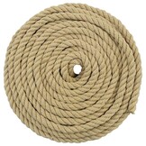 vidaXL Boottouw 10 mm 250 m Naturel