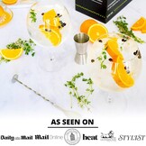Gin Tonic-Glazenset voor Gin Lovers - Set van 2 Handgemaakte G&T-Glazen. Gratis E-Book Recepten (ENGELS) | Zilver Cocktaillepel, Dubbelzijdige Maatbeker en Hoge Cocktailglazen