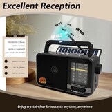Draagbare Radio met Zonnepaneel & Bluetooth - Grijs (33% Korting)