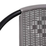 vidaXL Tuinstoelen 2 st 110 kg kunststof rattan en staal