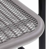 vidaXL Tuinstoelen 2 st 110 kg kunststof rattan en staal