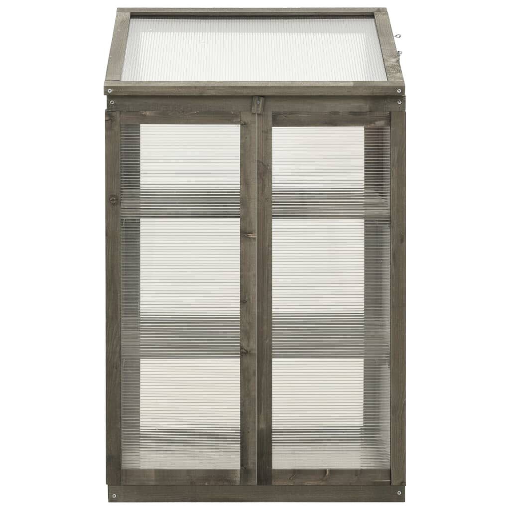 vidaXL Broeikas 60x45x100 cm vurenhout