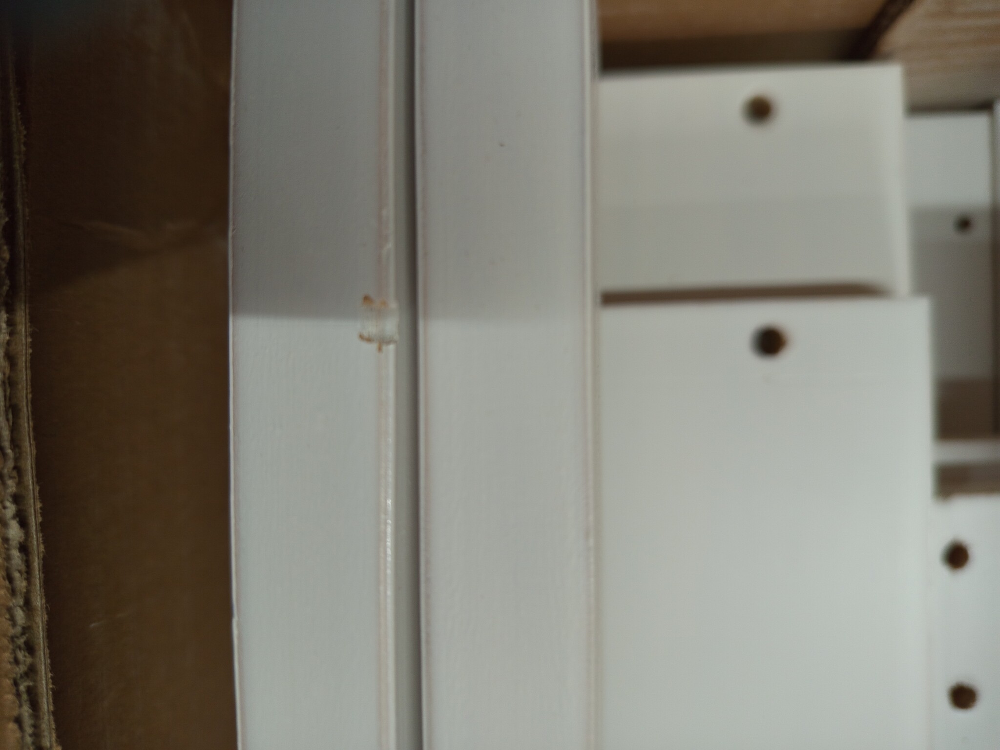 vidaXL Boekenkast Hoofdeinde L-vormig 120 cm massief grenenhout wit
