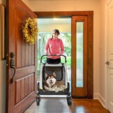 Hondenbuggy XXL Grijs - 65 kg - Senioren/Zieke Honden - 35% Korting