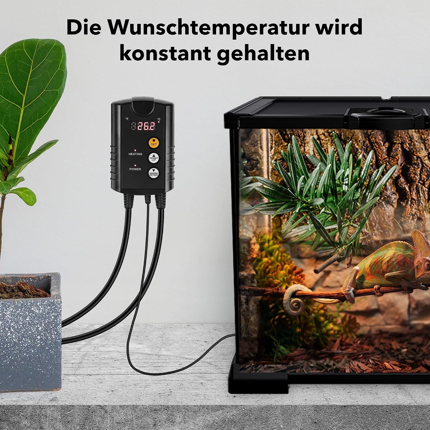 HBN Digitale temperatuurregelaar met sensor, verwarming temperatuurregeling voor verwarmingsmat, zaadkieming, reptielen en broedteelt incubatie broeikas, 230 V thermostaat