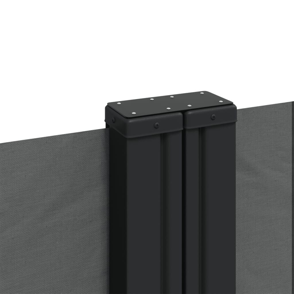 vidaXL Uittrekbaar Tuinscherm 180x1200 cm Antraciet - 60% Korting