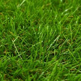 VidaXL Kunstgras 1x2 m/40 mm Groen - 33% Korting