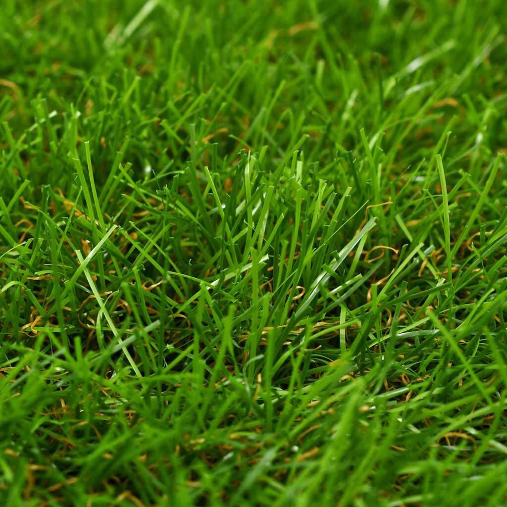 VidaXL Kunstgras 1x2 m/40 mm Groen - 33% Korting