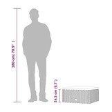 vidaXL Voetensteun met kussen poly rattan zwart