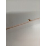 vidaXL Salontafel 100x49,5x31 cm bewerkt hout zwart