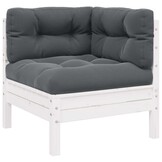 vidaXL Tuinbank 2-zits met kussens massief grenenhout wit