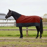 Paardendeken Bordeaux/Zwart 155 cm Polyester - 34% Korting