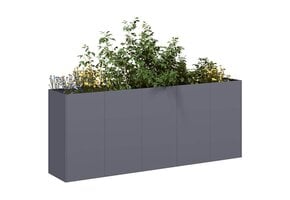 Plantenbak 200x40x80 cm Antraciet - Koudgewalst Staal (35% Korting)