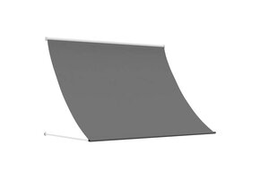 vidaXL Markies Lichtgrijs 400x150cm - 62% Korting