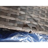 vidaXL Tuinbank 3-zits met kussens poly rattan grijs