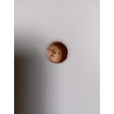 Buitendouche 226 cm Grenenhout & RVS - Wit (54% korting)