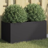 Plantenbak Staal Zwart 62x30x29 cm - 28% Korting