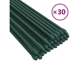 vidaXL Plantenstaken 30 st 150 cm staal groen