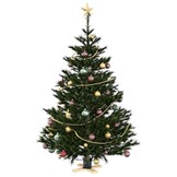 vidaXL Groene Kerstboomstandaard Grenenhout - 50x50x16 cm (Nu 51% Korting!)