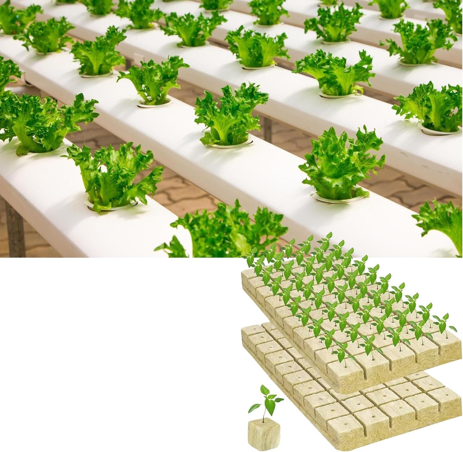 Steenwol Kweekblokjes 28 Stuks 4x4x4 cm | Incl. Schaar & Handschoenen | 39% Korting