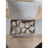 GY Led Lampen MR16 Lamp Light Bulb Gu5.3 Ledlamp Ledlampen Lampjes Niet-Dimbare neutral white 4,5W 663 Lumen 4000K 12 Stuks