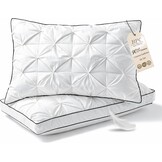 Luxe Donskussens (2-pack) 50x75 cm - 34% Korting!