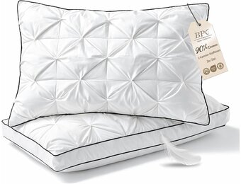 Luxe Donskussens (2-pack) 50x75 cm - 34% Korting!