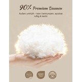 Luxe Donskussens (2-pack) 50x75 cm - 34% Korting!