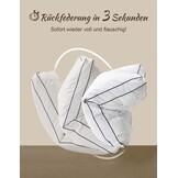 Luxe Donskussens (2-pack) 50x75 cm - 34% Korting!