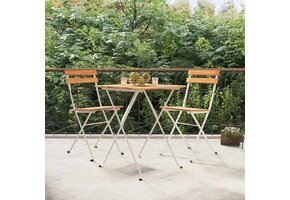 VidaXL Opklapbare Stoelen (2-pack) - Massief Acaciahout & Staal - 40% Korting