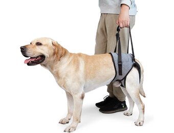 Honden hefharnas Grijs Maat XL - 32% Korting