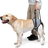 Hefharnas Hond Achterpoten Ondersteuning Grijs XL - 50% Korting