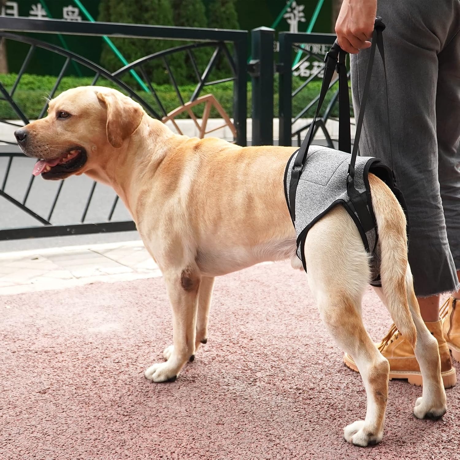 Hefharnas Hond Achterpoten Ondersteuning Grijs XL - 50% Korting