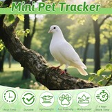 Mini GPS-tracker: vind huisdieren, tassen & sleutels | Geen abonnement