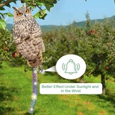 4x Reflecterende Uil Vogelverschrikker - Weerbestendig & Dubbelzijdig - 44% Korting!