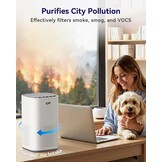 Luchtreiniger AP100 met HEPA filter - 33% korting!