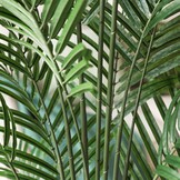Kunstpalm 190 cm Groen (Set van 2) - Levensecht & Onderhoudsvrij - 34% Korting