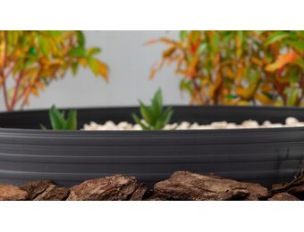 Flexibele gazonrand wortelblokkeringssysteem | Zwart 10m x 6cm | Bloembedomranding | 30 bevestigingspinnen