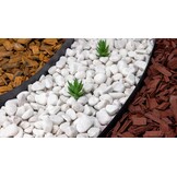 Flexibele gazonrand wortelblokkeringssysteem | Zwart 10m x 6cm | Bloembedomranding | 30 bevestigingspinnen