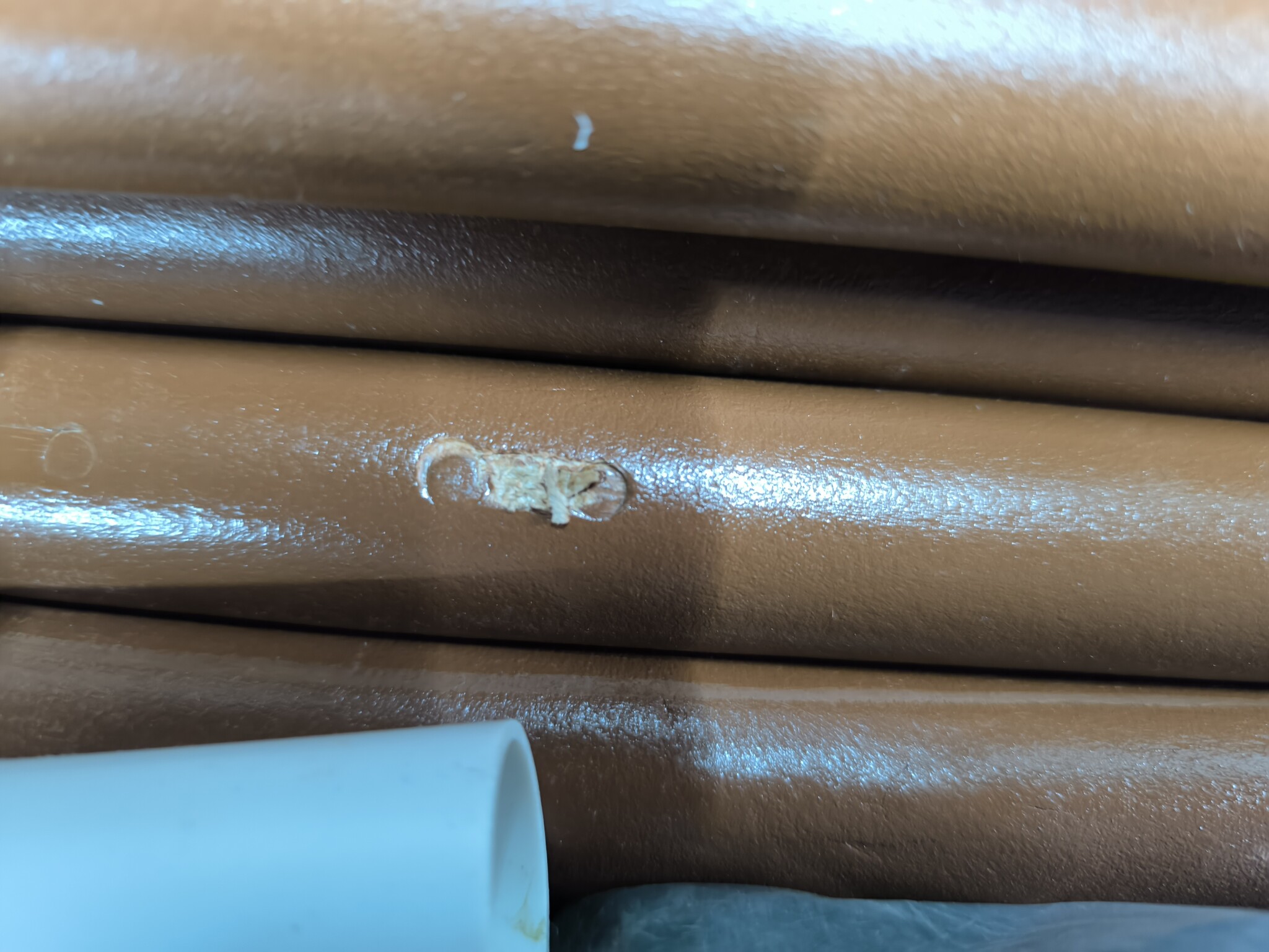 Groen Windscherm 5-Panel 600x160 cm - 54% Korting!