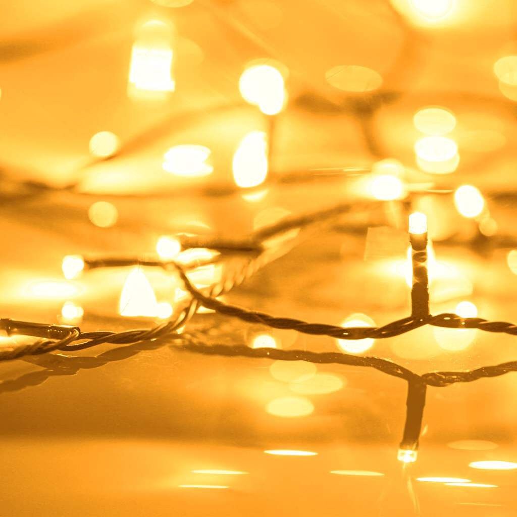 vidaXL Lichtsnoer 2000 LED's voor binnen en buiten IP44 200 m warmwit