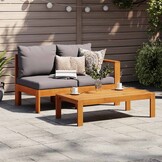 vidaXL Tuinbank 2-zits Massief Acaciahout met Armleuning - 54% Korting
