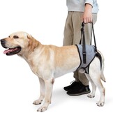 Honden Hefharnas Grijs Maat M - Ondersteuning Achterpoten 50% Korting