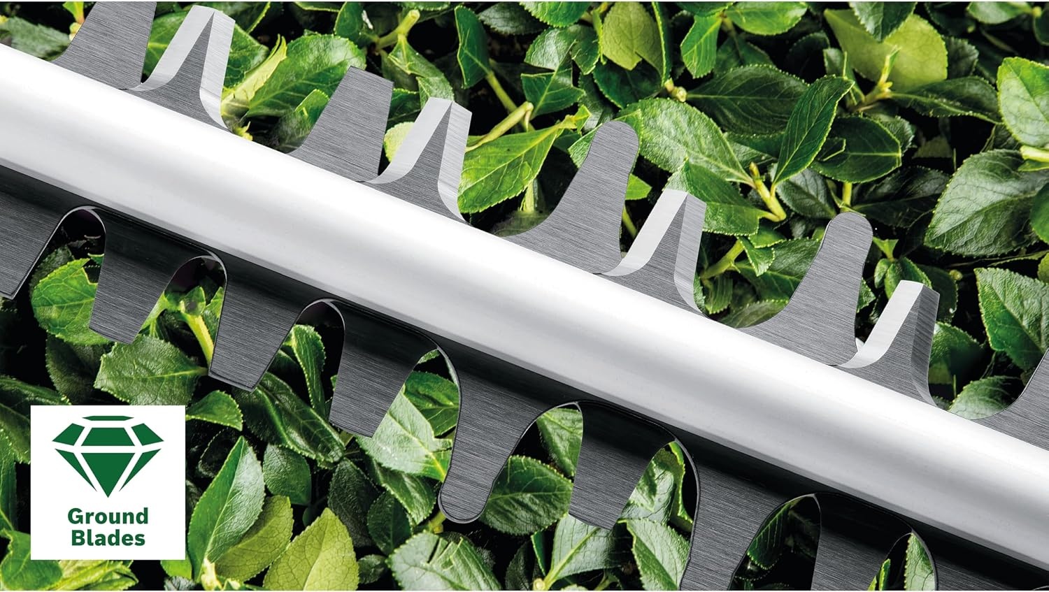 Bosch Elektrische heggenschaar EasyHedgeCut 45 (420 W, meslengte 45 cm, in kartonnen doos)