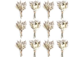 Mini Gedroogde Bloemen Boeketten (12 stuks) - Wit, 18-20 cm - 31% Korting