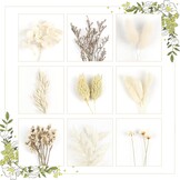 12 stuks mini-boeket gedroogde bloemen, mini-boeket, gedroogde bloemen, natuurlijke gedroogde bloemen, decoratie met steel, voor doe-het-zelf, foto, fotografie, rekwisieten, vaas, bruiloft