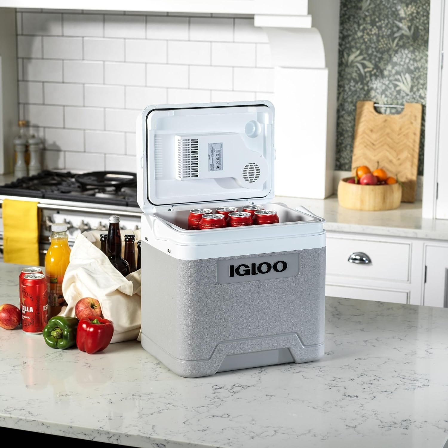 IGLOO IE24 elektrische koelbox, 12V en 230V, 24L – compacte mini-koelkast voor auto, camping, vakantie, boot en festivals – lichtgewicht en draagbaar, met praktisch kabelvak en Eco/Max-modus - Maat 24 L