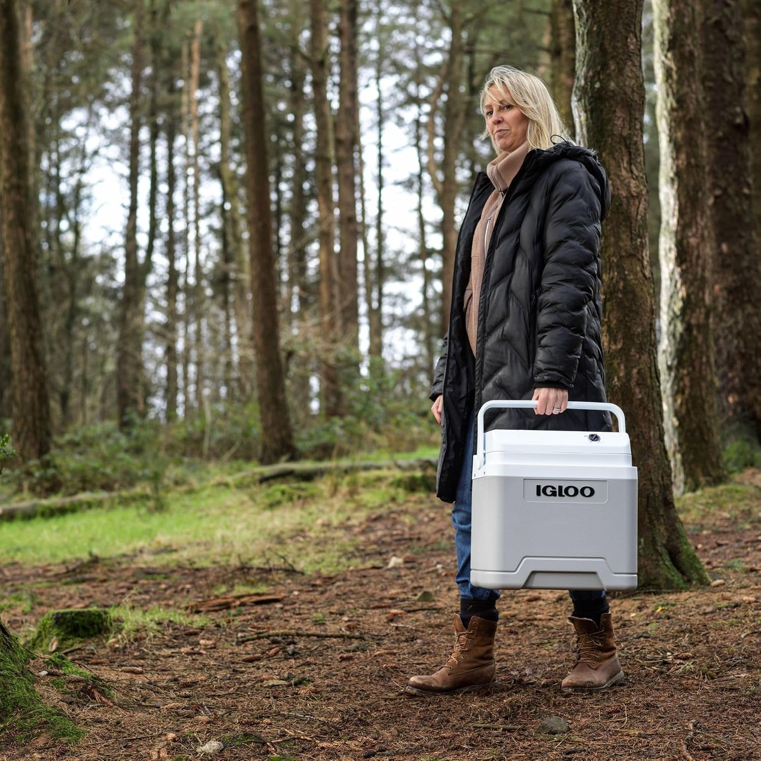 IGLOO IE24 elektrische koelbox, 12V en 230V, 24L – compacte mini-koelkast voor auto, camping, vakantie, boot en festivals – lichtgewicht en draagbaar, met praktisch kabelvak en Eco/Max-modus - Maat 24 L