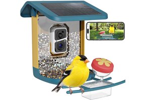 Slimme Vogelvoeder met 2K Camera & AI Vogelherkenning - 34% Korting!